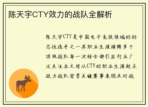 陈天宇CTY效力的战队全解析