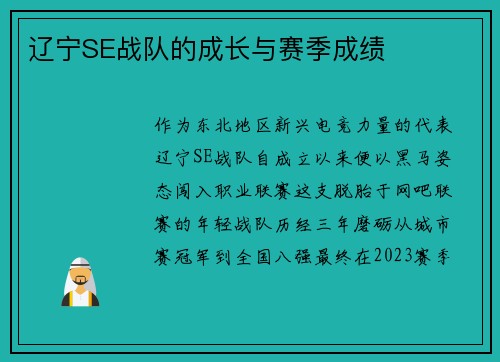 辽宁SE战队的成长与赛季成绩
